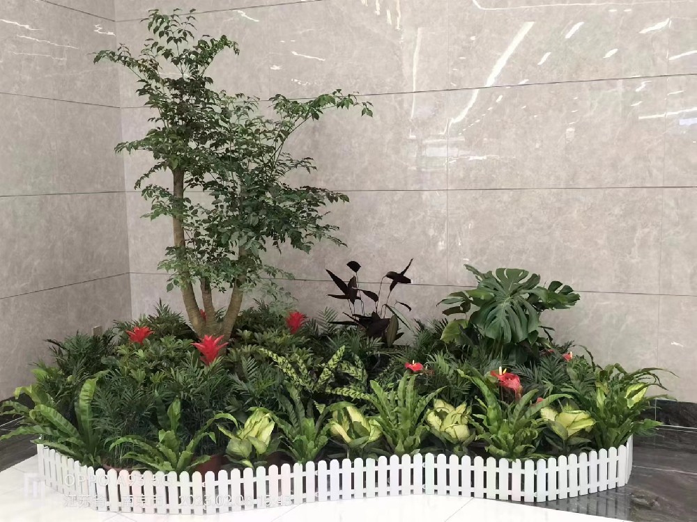 花卉绿植租赁
